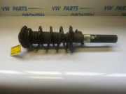 Federbein links vorne VW Golf VI 5K 1K0413031DF