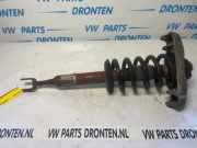 Federbein rechts vorne Audi A4 Avant 8E, B6 8E0413031DH