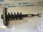 Federbein links vorne Skoda Octavia II 1Z 8E0CT