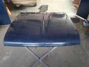 Motorhaube Alfa Romeo Giulia 952 000000