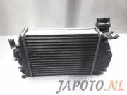 Ladeluftkühler Nissan Qashqai II J11 14461BD70A