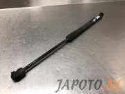 Heckklappendämpfer links Hyundai i10 IA 81770B9010