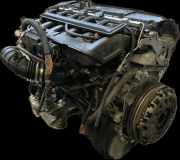 MOTORKIT OHNE ANBAUTEILE BMW 3-ER (E46/3,E46/4) (E46 316I-330D LIMO/TOUR 05/98 - 09/05,1998-2005)(132) OEM 11 00 7 506 886