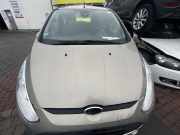 Ford B-Max (JK) Baujahr 2013 Motorhaube. OEM-Teilenummer (PAV11-R16610-AC)