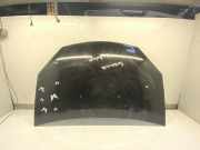 Motorhaube Sandero 651001918R