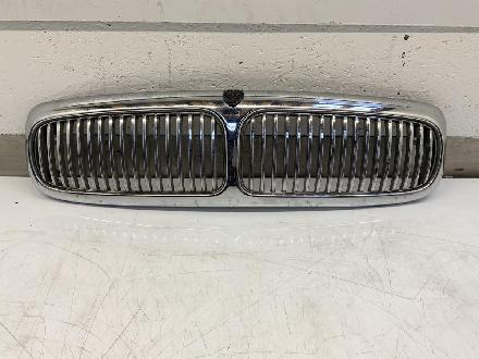 Kühlergrill Jaguar (NAW)