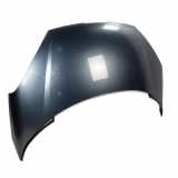 Motorhaube Haube Frontklappe Peugeot 807 EZW eisengrau metallic 7901N4