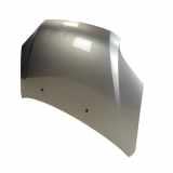 Motorhaube Klappe vorn Suzuki Ignis II Subaru Justy G3X Frontklappe silber