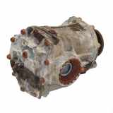 Differential hinten Suzuki Liana Swift Subaru Justy Hinterachsgetriebe 1,6l