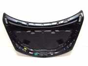 Motorhaube Frontklappe Klappe vorn Nissan Murano I Z50 F5100CA0MM BW9