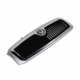 Kühlergrill Frontgrill Grill vorn Skoda Fabia 6Y LF7T diamantsilber metallic