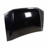 Motorhaube Haube Frontklappe Mitsubishi Pajero Pinin MR496153