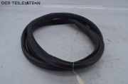 Türgummi / Türdichtung Dichtung links vorn HONDA ACCORD VII CL CL7 2.0 114KW 114 KW