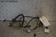 Kabel Tür Türkabelbaum Türkabelbaum hinten links CITROEN C4 I (LC_) 1.6 HDI 80 KW 9658291480