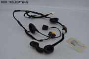 Kabelbaum Türkabelbaum hinten links HYUNDAI I40 CW (VF) 1.7 CRDI 100 KW 91650-3Z080