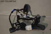 Kabel Tür Türkabelbaum hinten Rechts Kabelbaum Türkabelbaum HYUNDAI I30 (GD) 1.6 CRDI 81 KW 91660-A6020