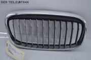 Ziergitter Vorne Rechts BMW 3 CABRIOLET (E46) 323 CI 125 KW 51137379610
