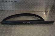 Türdichtung rechts hinten Dichtung Türgummi JAGUAR XF (_J05_, CC9) 3.0 D 177 KW