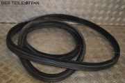 Türgummi / Türdichtung Dichtung links hinten JAGUAR XF (_J05_, CC9) 2.7 D 152 KW