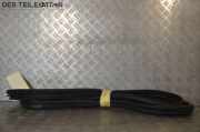 Türdichtung links hinten Dichtung Gummi Tür HONDA CIVIC VIII (FN, FK) 2.2 CTDI 103 KW