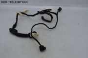 Kabelbaum Türkabelbaum hinten links OPEL ANTARA 2.0 CDTI 110 KW 186X2-02~0H13TJ5