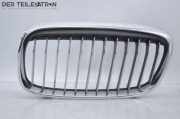 Ziergitter Niere vorne Links BMW 3 CABRIOLET (E46) 323 CI 125 KW 51137379610