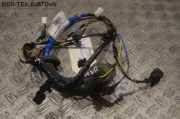 Kabel Tür Türkabelbaum Kabelbaum vorne rechts HYUNDAI I10 (PA) 1.1 51 KW 916110X160