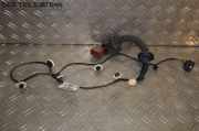 Kabel Tür Türkabelbaum Kabelbaum Türkabelbaum hinten Links RENAULT TWINGO III (BCM_) 0.9 TCE 90 66 KW 241270207R~A4535400010