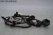 Kabelbaum Türkabelbaum, Tür Kabel, hinten links HYUNDAI I10 (PA) 1.1 49KW 49 KW 916500X120-00