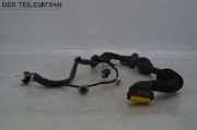 Kabel Tür vorne rechts RENAULT TWINGO III (BCM_) 1.0 SCE 70 51 KW 241258500R