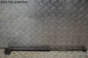 Gasfeder, Motorhaube vorne rechts KIA SORENTO I (JC) 2.5 CRDI 103 KW 811813E011~0599VZ~0290N