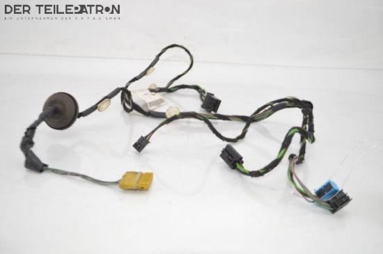Kabel Tür Türkabelbaum Vorne Rechts MERCEDES-BENZ A-KLASSE (W169) A 180 CDI 80 KW A1695407705 Bild Kabel Tür Türkabelbaum Vorne Rechts MERCEDES-BENZ A-KLASSE (W169) A 180 CDI 80 KW A1695407705