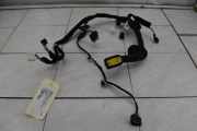 Kabelbaum fahrertür RENAULT TWINGO III (BCM_) 1.0 SCE 70 52 KW 241243081R
