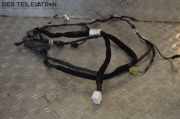 Kabel Tür Türkabelbaum Türkabelbaum Kabelbaum HYUNDAI I20 (PB, PBT) 1.1 CRDI 55 KW 916811J320-01