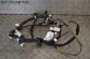 Kabel Tür Türkabelbaum Kabelbaum Türkabelbaum NISSAN NOTE (E12) 1.5 DCI 66 KW 241253VV0A