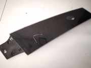 Zierleiste Leiste - Hinten Linke Tesla Model S, I 2016.06 - 2021 facelift 108389900c,1083899-00-c 1083899-00-cb 1092306-00-g