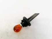 Gl?hbirnenfassung Blinker Renault Scenic, II 2003.06 - 2006.06 Gebraucht,