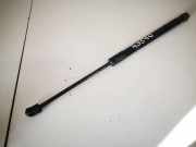 Gasdruckfeder Kofferraum BMW X5, E70 2006.10 - 2010 51327146346,