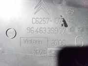 Innenausstattung Citroen C4, I 2008.06 - 2010.01 facelift 9646339977, c6257-1075