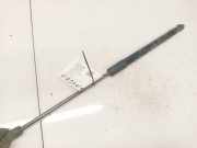 Gasdruckfeder Kofferraum Audi A4, B9 2015.01 --> 8W9827552C,8W9827552C