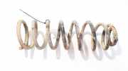 Fahrwerksfeder Hinterachse Citroen Jumpy, I 1994.01 - 2006.12 Gebraucht,