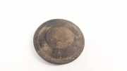 Blende Scheinwerfer - Vorne Renault Scenic, II 2003.06 - 2006.06 153874,153874
