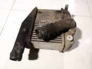 Ladeluftkühler Nissan Primera, P12 2002.01 - 2008.12 Gebraucht,