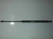 Gasdruckfeder Kofferraum Opel Vectra, B 1995.09 - 2000.09 9512gp,0300n