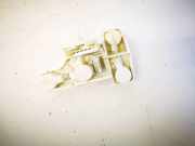 Lampentr?ger Heckleuchte - Hinten BMW 3-Series, E90 E91 E93 2005.02 - 2009.01 7160076,7160076 276122