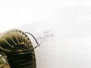 Gebläsemotor BMW 5-Series, E39 1995.11 - 2003.06 641183724939, 64.11-8372493.9 539.9533.900