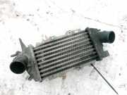 Ladeluftkühler Opel Vectra, B 2000.09 - 2002.04 facelift 52475657,