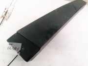 Zierleiste Leiste - Vorne Linke Renault Scenic, II 2003.06 - 2006.06 8200139600,MP5469