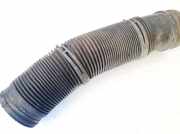 Schlauch für Luftversorgung Volkswagen Golf, IV 1997.08 - 2003.10 1j0129684j, ALH