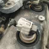 Einspritzdüse Opel Signum, 2003.05 - 2008.06 Gebraucht,